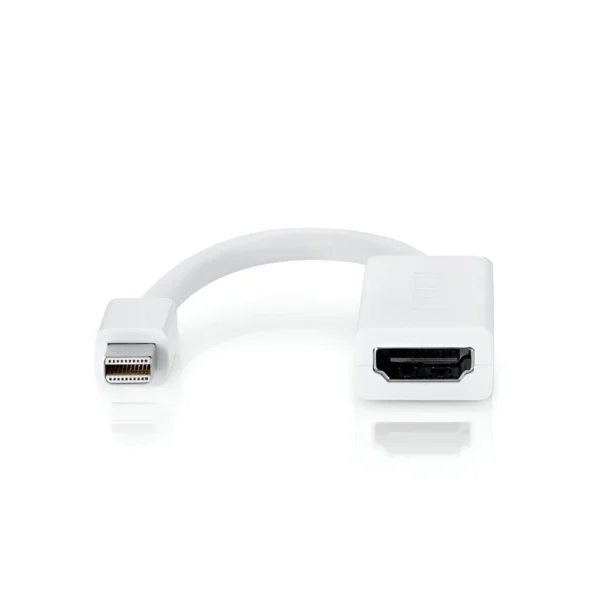 Ranz Mini Display Port To HDMI Converter (Male To Female)
